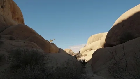 Rocks in Joshua tree desert Video stock 78771224