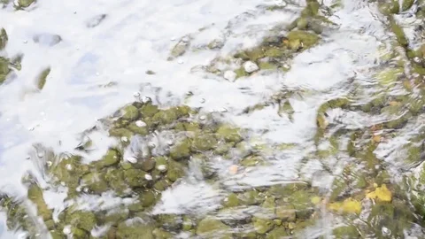 Rocks on the lake bed Stock-Footage 79790227