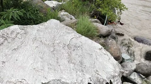 Rocks leaves River Mountain Stock Footage 157806089