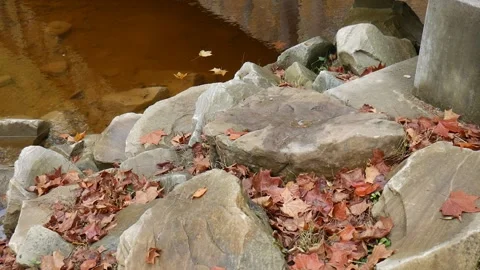 Rocks with leaves on them on the side of a stream 스톡 동영상 141765116