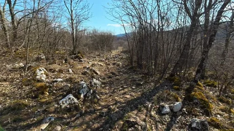 Rocks line a rugged trail through leafless trees. Kozji Kamen Viewpoint Stockbeeldmateriaal 331872184