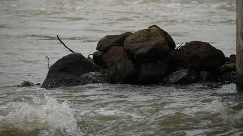 Rocks lying in between flowing riverwater Stock Footage 225740100