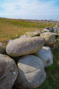 Rocks in a meadow Stock Photos
