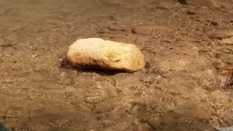 Rocks in the middle of a shallow, clear mountain river Stock Footage 321325658