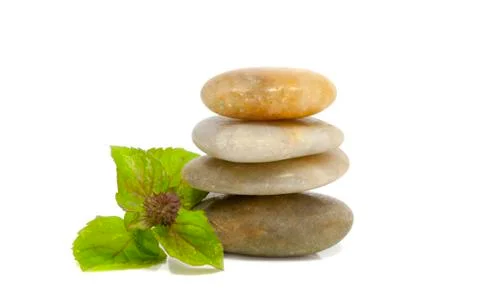 Rocks with mint Stock Photos
