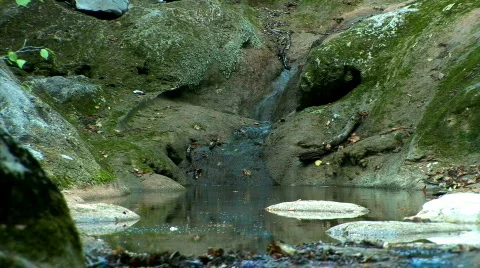Rocks with moss. Between them stream Stock Footage 525541