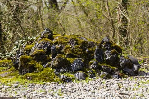 Rocks with moss Stock Photos