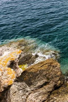 Rocks with moss yellow Foto stock