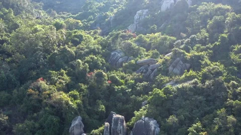 Rocks in mountain landscape and trees, Lantau Island, Hong Kong Video stock 149097062