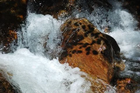 Rocks of mountain river Stock Photos