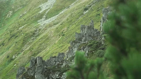 Rocks in the mountains, a green peak in cloudy weather. Carpathian landscape Stock Footage 229782671