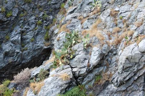 Rocks, Mountains Stock Photos