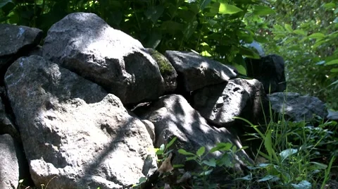 Rocks in nature forward Stock Footage 8509389