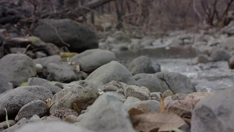 Rocks Next to Running Creek Stock Footage 85452307