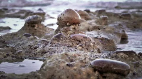 Rocks by ocean 2 Stock Footage 10818532