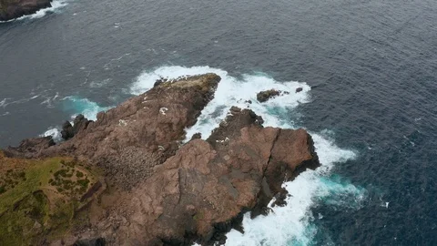 Rocks in the ocean. Blue waves and white foam around the rocky coast. Aerial of Video stock 121270495