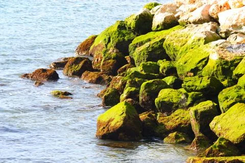 Rocks on an ocean coast Stock Photos