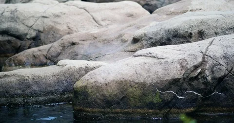 Rocks on the ocean Vídeo Stock 95055609