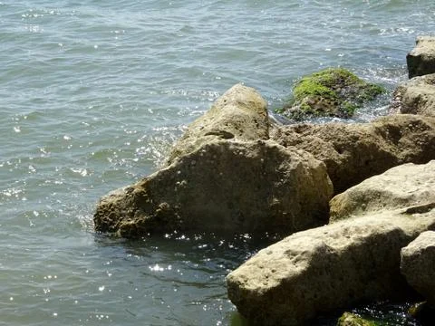 Rocks In The Ocean Stock Photos