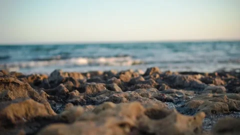Rocks on the ocean shore at sunset Stock Footage 312276641