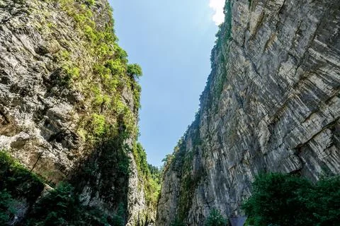 Rocks overgrown with deciduous trees Stock Photos