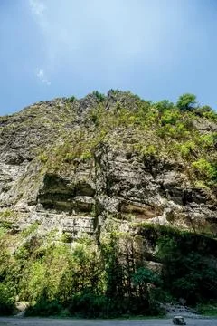 Rocks overgrown with deciduous trees Stock Photos