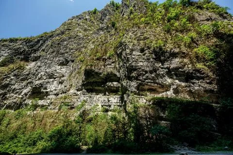 Rocks overgrown with deciduous trees Stock Photos