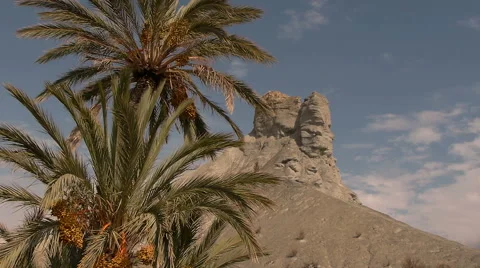 Rocks with palm trees and blue sky Stock Footage 42188556