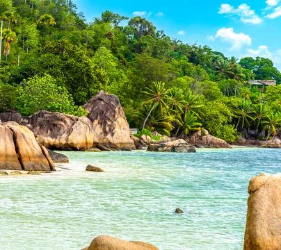 Rocks, palm trees and clear water in Anse Citron Stock Photos