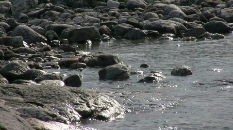 Rocks peaking above surface Video stock 526452