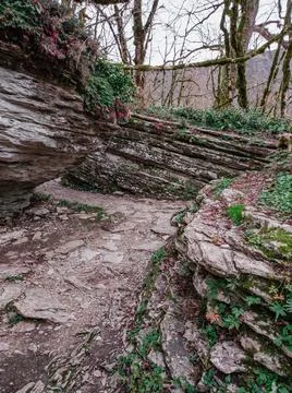 The rocks Stock Photos