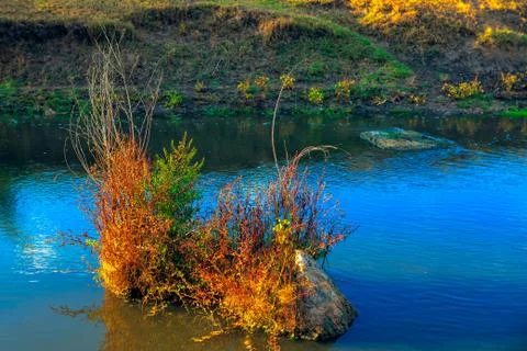 Rocks with plants in the river Stock Photos