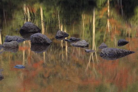 Rocks Reflected In Bubble Pond, Acadia National Park Stock Photos