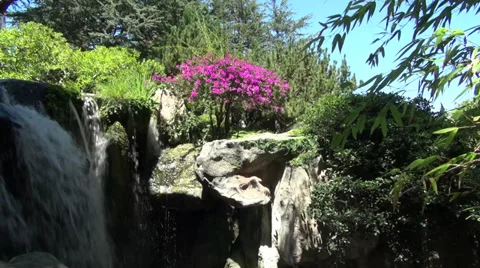 Rocks resembling Dogs faces make this waterfall unique Stock Footage 36605138