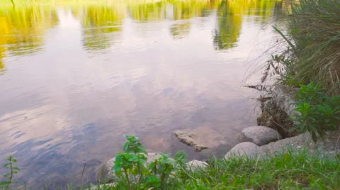Rocks on the river bank Stock Footage 67429831