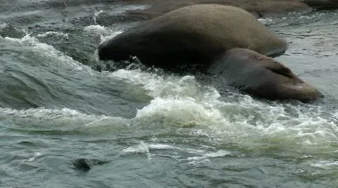 Rocks in river closeup Stock Footage 11019907