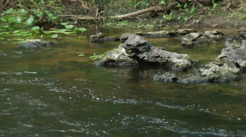 Rocks in River Stock Footage 533130