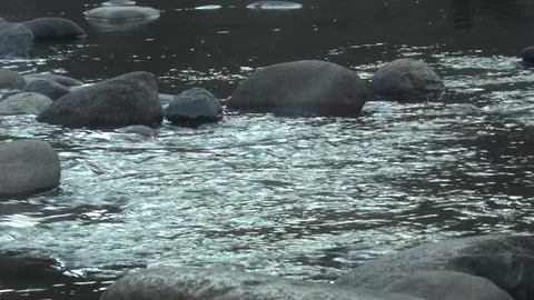 ROCKS IN A RIVER 스톡 동영상 75025273