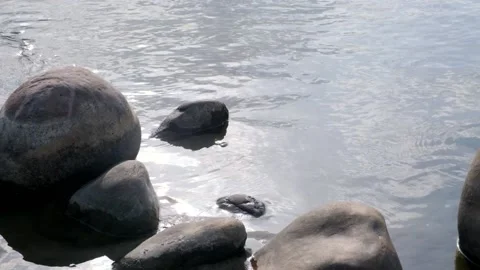 Rocks in the river Stock Footage 238924880