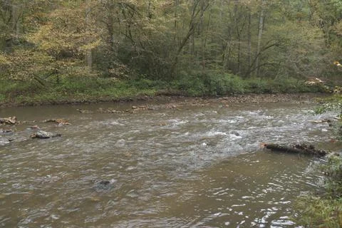 Rocks in river in a forest Stock Photos