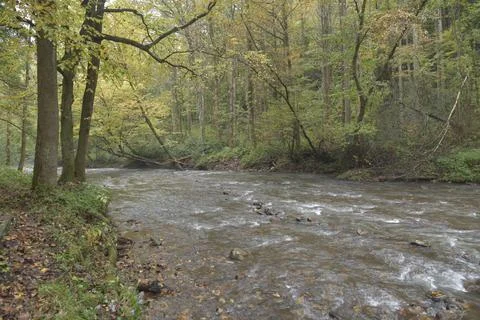 Rocks in river in a forest Stock Photos
