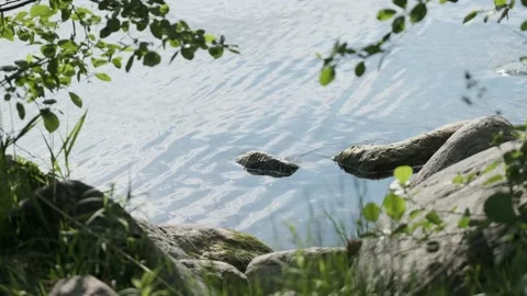 Rocks on the river shore Stock Footage 136180678