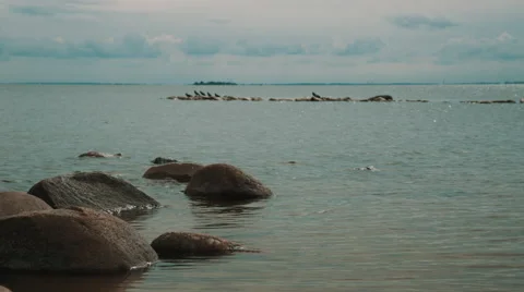 Rocks on the sea coast 스톡 동영상 54224153