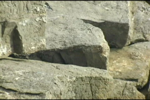 Rocks By The Sea 스톡 동영상 511791