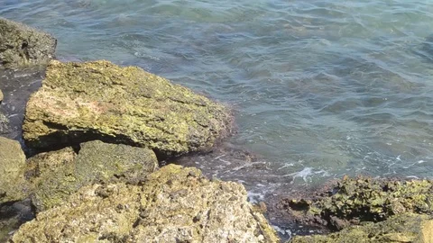 Rocks in the sea Stock Footage 115204798