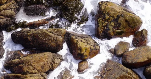 Rocks in the sea Vídeo Stock 151470608