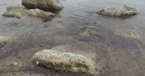Rocks by the sea Stock Footage 171175710