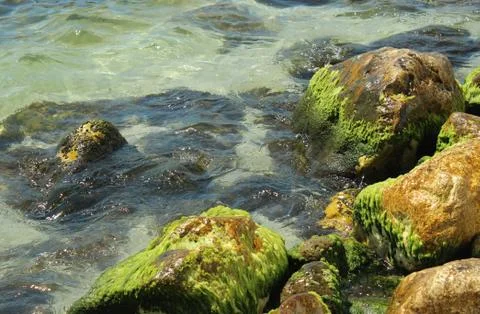 Rocks in the sea Stock Photos