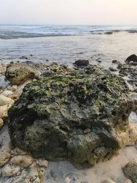 Rocks in the sea Stock Photos