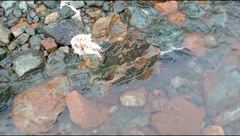 Rocks in the sea water Stock Footage 292695638